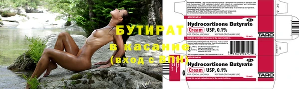 индика Гусь-Хрустальный