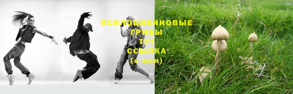 альфа пвп Усолье-Сибирское