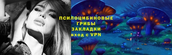 шишки Ханты-Мансийск