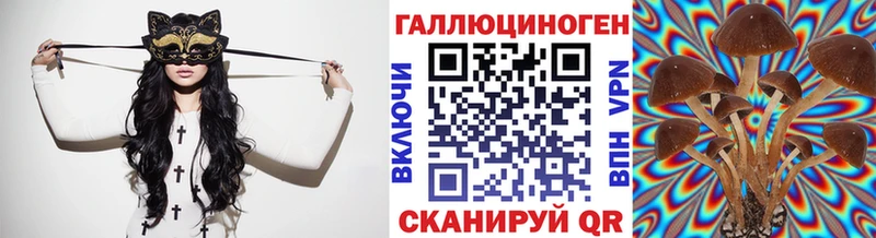 купить  цена  Ярцево  Псилоцибиновые грибы мухоморы 