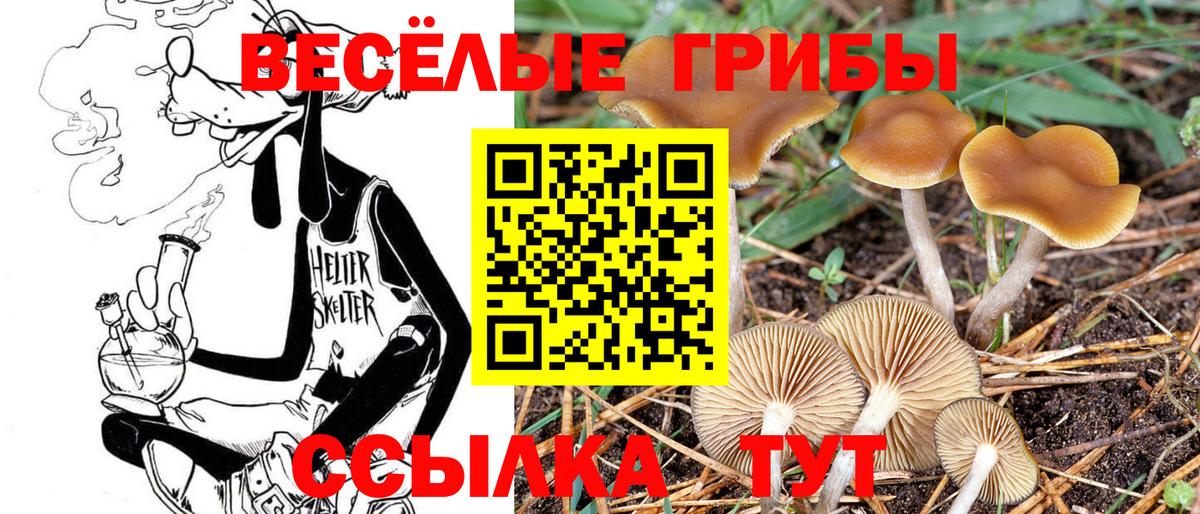 Псилоцибиновые грибы Magic Shrooms Ярцево