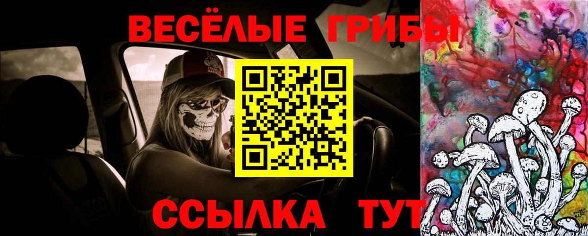 Ярцево  Псилоцибиновые грибы Cubensis  Вход с VPN  Псилоцибиновые грибы мухоморы 