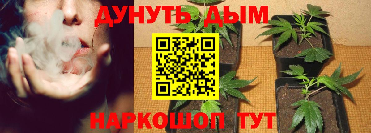 Каннабис планчик  Вход с VPN  Каннабис Amnesia  Ярцево 